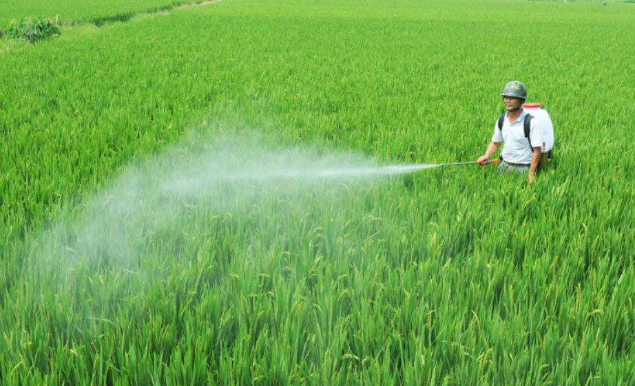 農(nóng)藥，是指農(nóng)業(yè)上用于防治病蟲害及調(diào)節(jié)植物生長的化學(xué)藥劑。